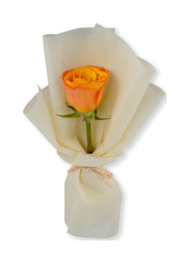 ORANGE ROSE BQT (1 ROSES)