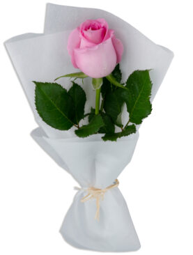 PINK ROSE BQT (1 ROSES)