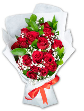 RED ROSE BQT(20 ROSES)