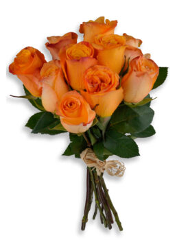 ORANGE ROSE BQT (Bunch)