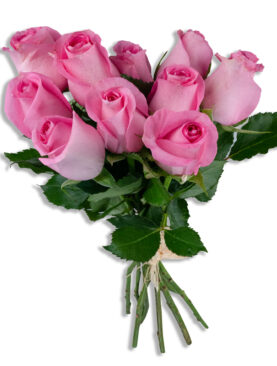 PINK ROSE BQT (BUNCH)