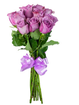 PURPLE ROSE BQT (20 ROSES)