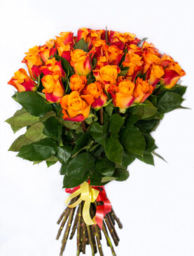 20 ORANGE ROSES