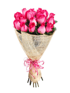 30 PINK ROSES