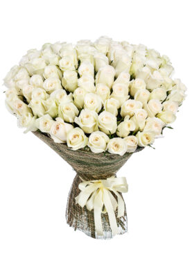 100 WHITE ROSES