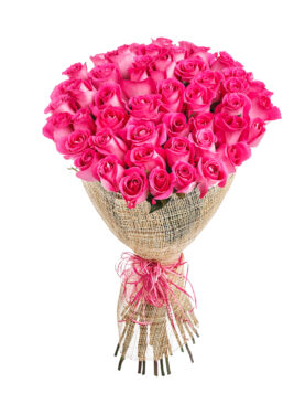 50 PINK ROSES