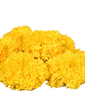 Marigold Yellow 250 gram